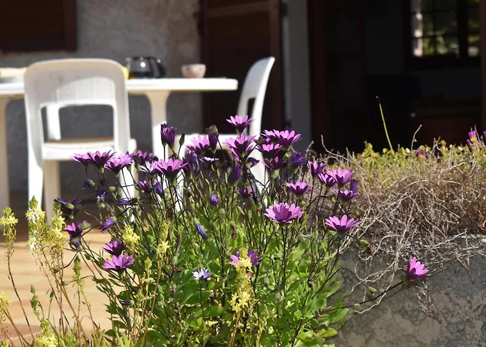 Petite Maison Provencale Pour 4 Personnes