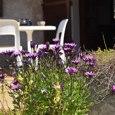 Petite Maison Provencale Pour 4 Personnes