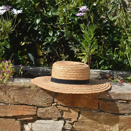 Vakantiehuis Petite Maison Provencale Pour 4 Personnes Bormes-les-Mimosas